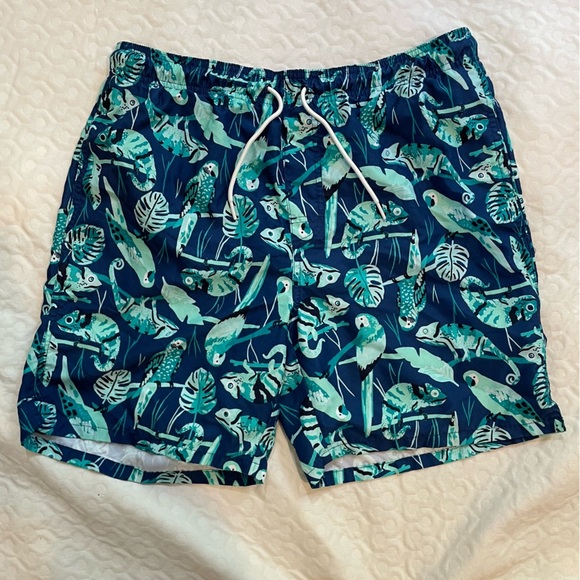 Old Navy Other - Old Navy Green and Blue Swim Trunks Men’s Medium Parrot Iguana Tropical Netting